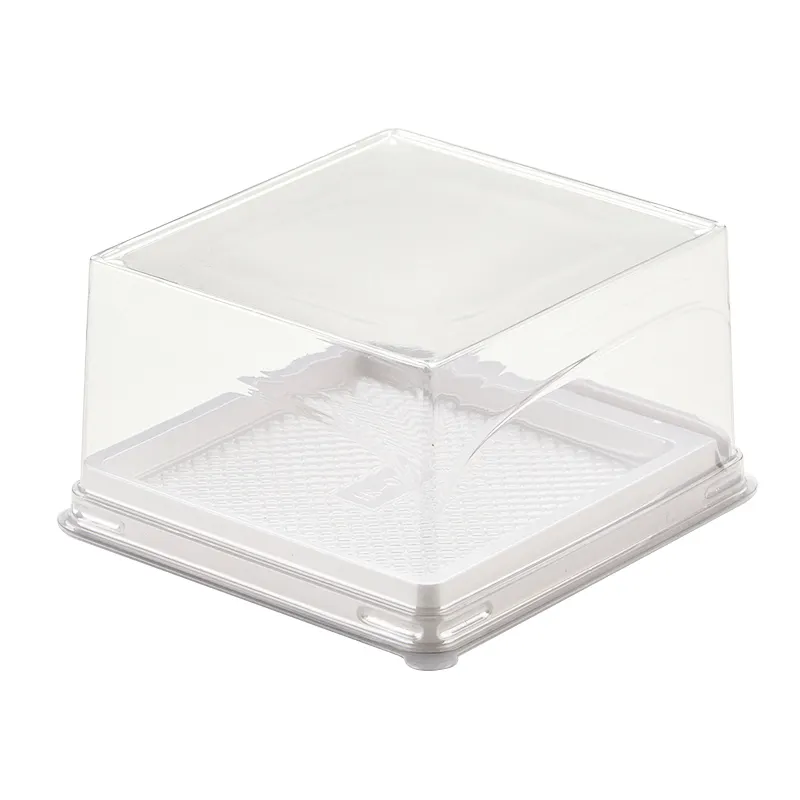 Scatola di imballaggio monouso per torta di Mousse per animali domestici contenitore rettangolare in plastica trasparente scatola di imballaggio per alimenti da forno con forchetta trasparente