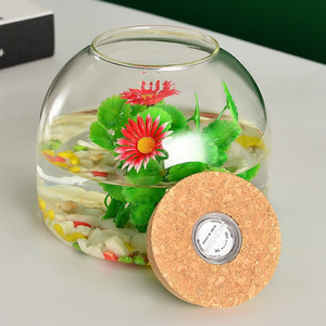 Vaso in Vetro Dia16cm con Luce LED Colorata e Tappo in Sughero per Piante e Acquario - Product Image 2