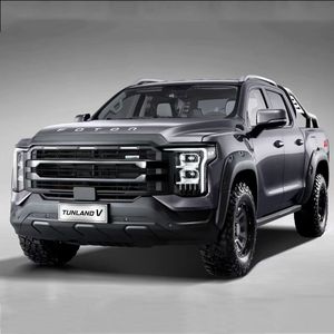 <span class=keywords><strong>FONTON</strong></span> Pick-up TUNLAND V7 4x4 à conduite à gauche pour la Guinée - Product Image 4