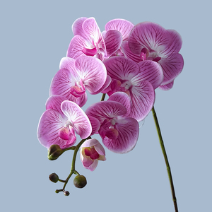 Flor Artificial de Phalaenopsis, Orquídea de Estilo Europeo con 8 Cabezas, Tacto Humectante, Decoración para Sala de Estar - Product Image 1