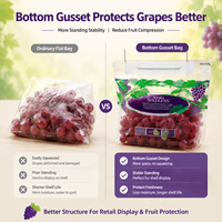 Sac à soufflet durable en PET/CPP de qualité alimentaire avec trou de poignée, emballage composite pour fruits (raisins)