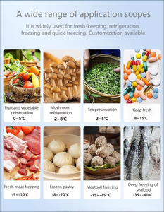 Мобильная холодильная и морозильная камера 20 футов с возможностью индивидуальной настройки и изолированной дверью для коммерческого использования - Product Image 5