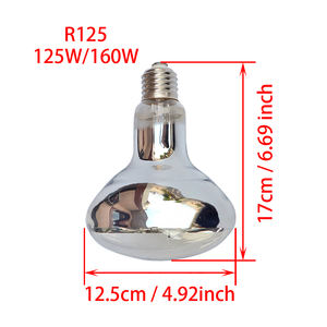 80W 100W 125W 160W sürüngen civa buharlı lambalar UVA UVB güneş lambası yüksek yoğunluklu kendinden balast UV Mercury buharlı lambalar - Product Image 3