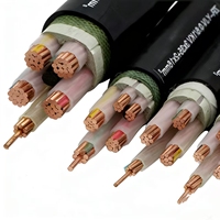 Câble d'alimentation blindé XLPE YJV22 0,6/1 kV 3*35 mm + 1*16 mm pour système triphasé à cinq fils TN-S, construction ferroviaire