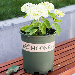 Vente en gros de fournitures de pépinière bon marché Petits pots de jardinière de jardin en plastique durable de 1 gallon Conteneur de départ de graines vertes <span class=keywords><strong>pour</strong></span> un usage domestique - Product Image 4