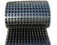 HDPE Drainage Board for Tunnel Lining Subgrade Foundation Water Drainage Geocomposite Sheet Underground Construction