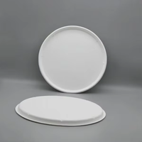 Assiette à pizza biodégradable en canne à sucre de 12 pouces, jetable et compostable, pour fêtes, micro-ondable, fabriquée à partir de bagasse, kits de fournitures pour fêtes