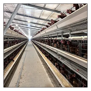 High Quality Automatic Animal Cages Poultry Farm Equipment Chicken Cages Egg Layer Battery Cage