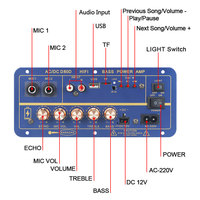 VIRE Güç Amplifikatörü 8-12 inç Hoparlör Çift Mikrofon 110V 220V 12V 24V Subwoofer Ses 60W AMP Modülü