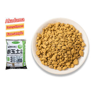 Vente en gros de terre argileuse dure rouge japonaise pour bonsaï de jardin de 14 litres, terre pour plantes succulentes d'intérieur, terre horticole Akadama - Product Image 3