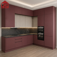 Offre Spéciale : Solution Complète pour Cuisine Contemporaine avec Armoire Intégrée en Acier Inoxydable et Dosseret pour Appartement