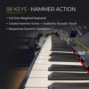 <span class=keywords><strong>Pianoforte</strong></span> Digitale Verticale OEM Personalizzato a 88 <span class=keywords><strong>Tasti</strong></span> con Meccanica Pesata, 3 Pedali, Modalità Silenziosa, <span class=keywords><strong>Pianoforte</strong></span> per Famiglia ed Educazione Domestica TERENCE S71 - Product Image 2
