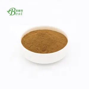 Camellia Sinensis Leaf Seed Extract 65% Powder Herbal Extract Top Grade 2 Years Brown Powder Cool Dry Place Artificial Planting