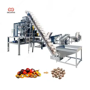 Automatische Ruwe Zaadbeschietende Moer Shell Separator Palm Kernel Cracker En Scheimachine