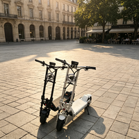 Scooter Eléctrico Plegable Todoterreno Rápido para Adultos