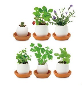 Huevo <span class=keywords><strong>de</strong></span> semilla mágica-Huevo <span class=keywords><strong>de</strong></span> semilla listo para germinar-Responsabilidad para los niños, gran decoración, regalo perfecto - Product Image 1