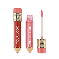 Tube de crayon mignon beauté liquide rouge à lèvres mat rouge à lèvres marque privée brillant à lèvres vente en gros vendeur de brillant à lèvres personnalisé