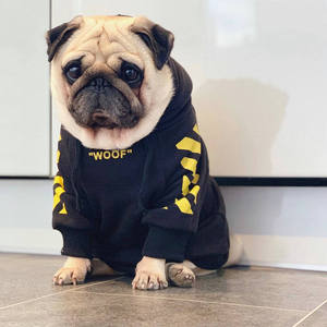 Vente en gros OEM fabricant d'usine fournisseur vêtements classiques de luxe écologiques en coton pour animaux de compagnie sweat à capuche chaud mode avec logo personnalisé - Product Image 4