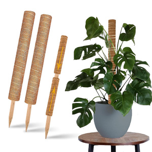 Eco-Friendly COCOUNT Coated Moss <b>Pole</b> <b>for</b> <b>Gardening</b> & Greenhouse Plant Support-OEM & ODM Available - Product Image 4