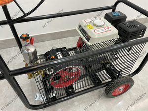 Agricultural <b>Power</b> <b>Sprayer</b> Gasoline Powered Hand Push Farm <b>Sprayer</b> - Product Image 6