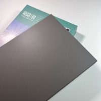 RENOLIT PST Premier Matt Wolfram Gris