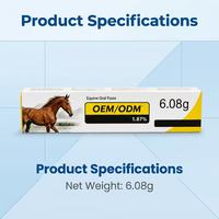 Compléments alimentaires aromatisés à la pomme pour chevaux, suppléments nutritionnels pour animaux de compagnie, pâte nutritionnelle, personnalisables en OEM en gros