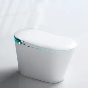 2023 नई इलेक्ट्रिक एक टुकड़ा Wc स्वत: सेंसर निस्तब्धता छिपा पानी की टंकी बुद्धिमान स्मार्ट शौचालय