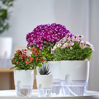 Pot de fleurs auto-arrosant en PP et AS, jardinière auto-arrosante automatique, petit pot de fleurs en plastique pour paresseux
