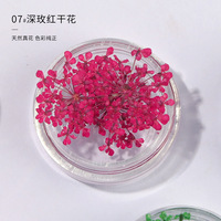 Populaire 12 couleurs fleurs séchées naturelles nail art vraie dentelle sèche fleurs séchées pour nail art UV LED gel