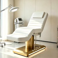 Table de massage électrique pliable multifonctionnelle réglable pour physiothérapie, tatouage et soins esthétiques spécialisés
