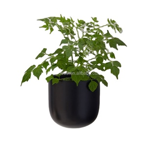 <span class=keywords><strong>Maceta</strong></span> de pared interior de cerámica 2026, <span class=keywords><strong>maceta</strong></span> de pared para exteriores, <span class=keywords><strong>maceta</strong></span> de pared colgante Vertical, <span class=keywords><strong>maceta</strong></span> montada en la pared - Product Image 1