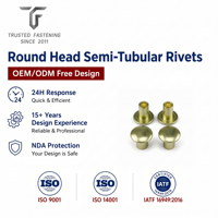 Rivets semi-tubulaires à tête ronde personnalisés TianFang pour la production de poignées d'ustensiles de cuisine, en aluminium anodisé, fourniture OEM ODM, échantillonnage rapide