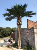 Arbre Paysager Palmier Datte Artificiel Palmier Datte Arabie Saoudite Dattes Extérieures à Dubaï