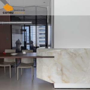 Piano di Lavoro in Quarzite Cristallo Cotrustone, Top Cucina Traslucido Bianco Cristallino per Villa e Hotel - Product Image 4