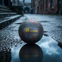 Ballon de volley-ball d'entraînement intérieur AMGROW, design réfléchissant et lumineux, taille 5, pour adultes, couleur personnalisée, cuir PU MS002
