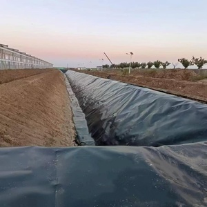 Géomembrane HDPE, géoliner 200/500/1000/1500 microns, anti-infiltration, imperméable, drainage, barrage extérieur - Product Image 3
