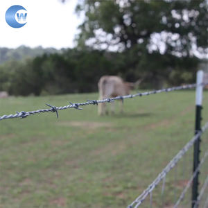 Rouleau de 500m Clôture de Prison en <span class=keywords><strong>Barbelé</strong></span> Électrique Galvanisé à Chaud à Bas <span class=keywords><strong>Prix</strong></span> - Product Image 4