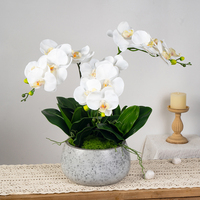 Offre Spéciale – Fleurs Artificielles Orchidée Papillon Réalistes à 5 Têtes, 70 cm, pour Décoration de Fêtes et de la Maison