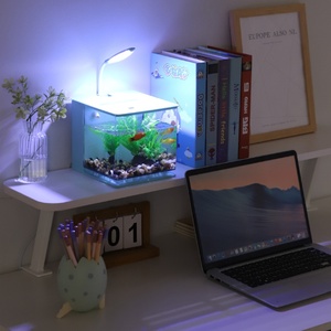 Mini tanque de <span class=keywords><strong>peces</strong></span> <span class=keywords><strong>Betta</strong></span> portátil, decoraciones de escritorio para acuario, cuenco para <span class=keywords><strong>peces</strong></span> acuapónicos marinos con filtro de agua, bomba de aire USB, luz LED - Product Image 5