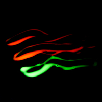 Peinture corporelle phosphorescente en promotion – Maquillage fluorescent lumineux à base d'eau, couleur néon UV pour fêtes néon et peinture faciale