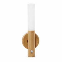 Wood Grain USB Rechargeable Motion Sensor Wall Night Light Magnetic Base Detachable LED Lamp Bear Animal Design Color-Changing