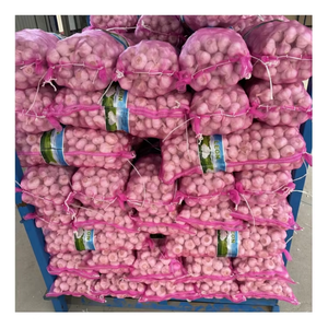 Neue Ernte SINOFARM Knoblauch Frisches Gemüse Erstklassiger Bawang <span class=keywords><strong>Putin</strong></span> Schwarzer Knoblauch Guter Preis Knoblauchpulver für den Export - Product Image 6