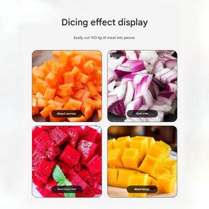Picadora de carne y verduras comercial motorizada de servicio pesado con uso multifuncional para platos mixtos 220V - Product Image 5