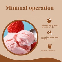 Mélange pour Crème Glacée Fraise sous Marque Blanche OEM/ODM, Saveurs Personnalisables et Poudre de Crème Glacée Fonctionnelle