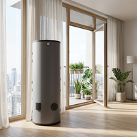 Chauffe-eau solaire européen personnalisé en acier inoxydable à double serpentin 100L, à économie d'énergie, pour cuisine et salle de bain