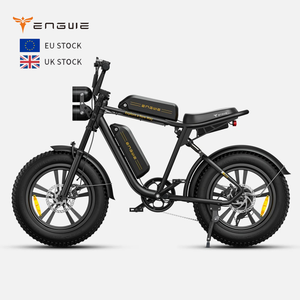 Vélo électrique Engwe M20 EU UK 250w 48v 26ah Batterie 20 pouces Pneu tout-terrain Vélo électrique pour hommes Vélo de montagne électrique pour adultes - Product Image 1