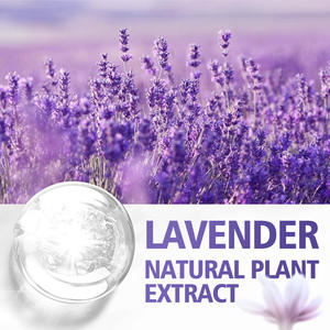 Huile essentielle de plantes en gros, huile de soin du visage et du corps, huile biologique blanchissante, hydratante, soin de la peau, huile essentielle - Product Image 6