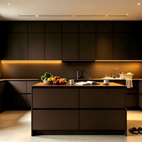 Fabricant de meubles, armoires de cuisine sur mesure, design noir imperméable, meubles SPC, ensembles complets d'armoires de cuisine