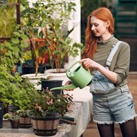 Pot de fleurs en plastique rétro classique, style seau en bois, épaissi, grande taille, pour culture hydroponique de lotus et de nénuphar, grand pot de jardin