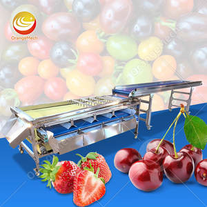 Machine de tri de fruits ORME pour citron, pomme, tomate, myrtille, avec fonction de cire et de calibrage - Product Image 1